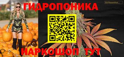 эйфоретик Краснознаменск