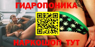 амф Краснодар