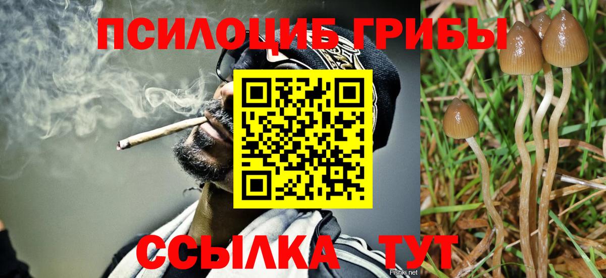 Галлюциногенные грибы мицелий  Вход с VPN  Зеленокумск 